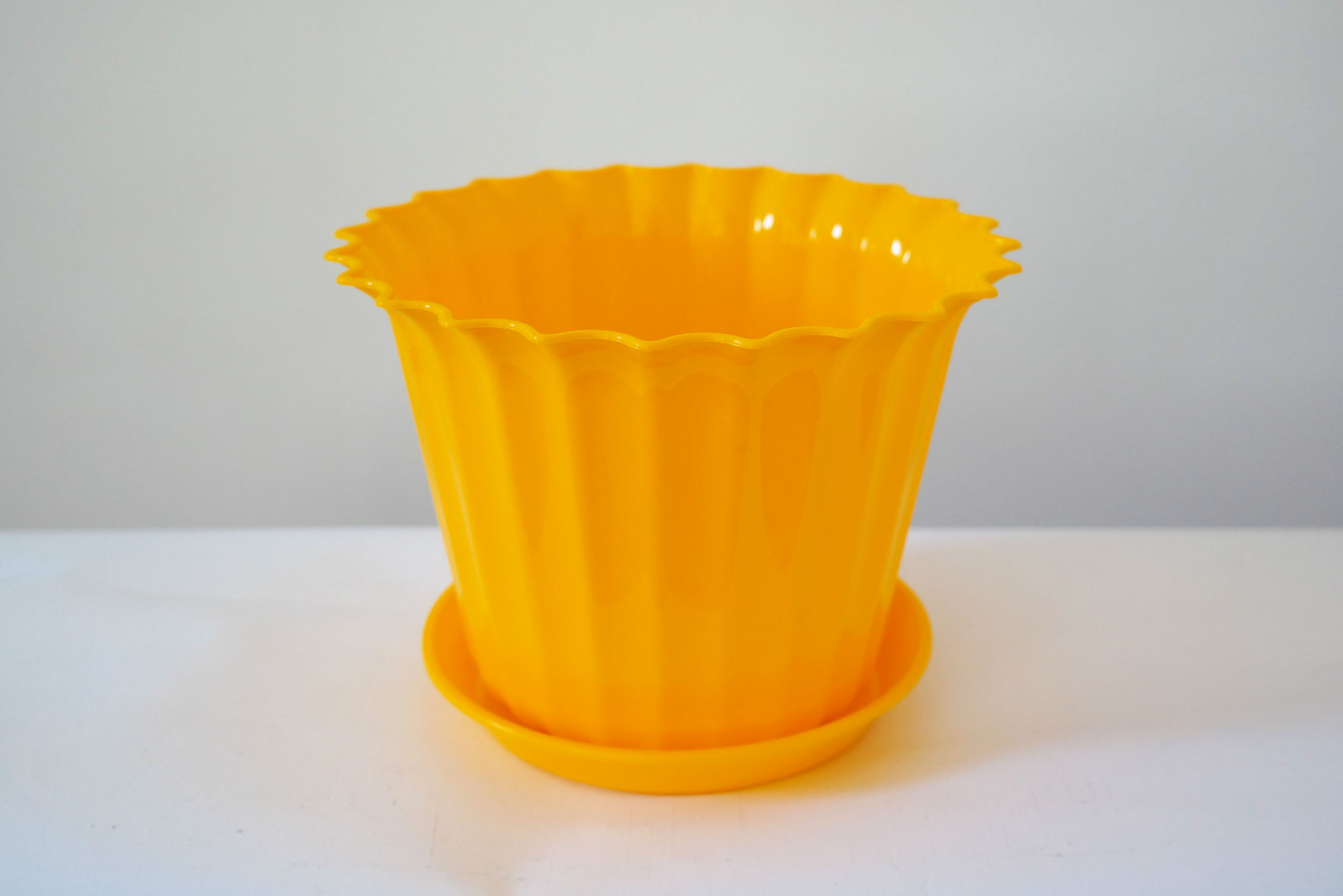 Горщик Астра (кольоровий)