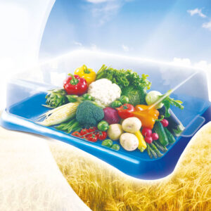 Піднос з кришкою