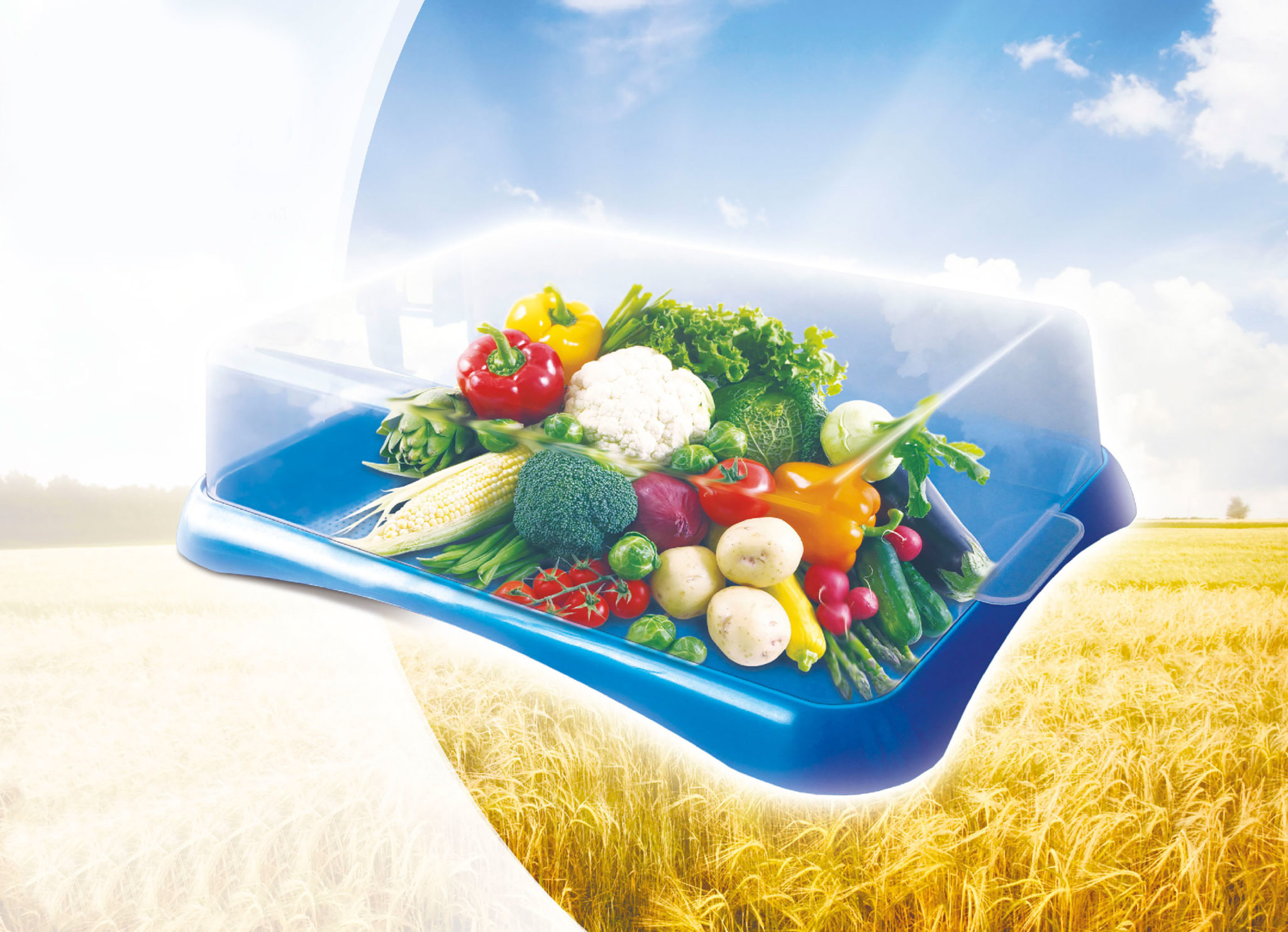 Піднос з кришкою