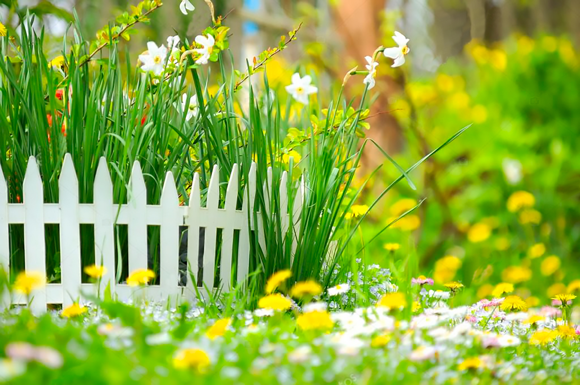 Садова огорожа