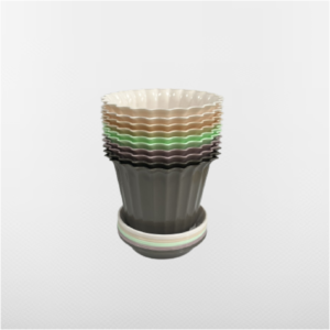 Горщик Астра (кольоровий) - Біла троянда