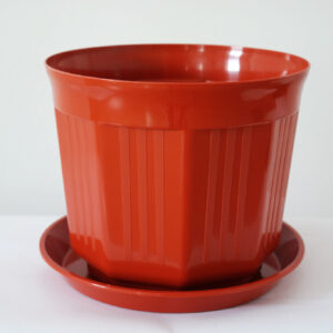 Горщик Октава