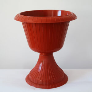 Гаваї на нiжцi