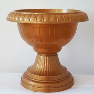 Флорида на нiжцi