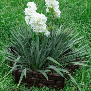 Садова огорожа КАМ'ЯНА